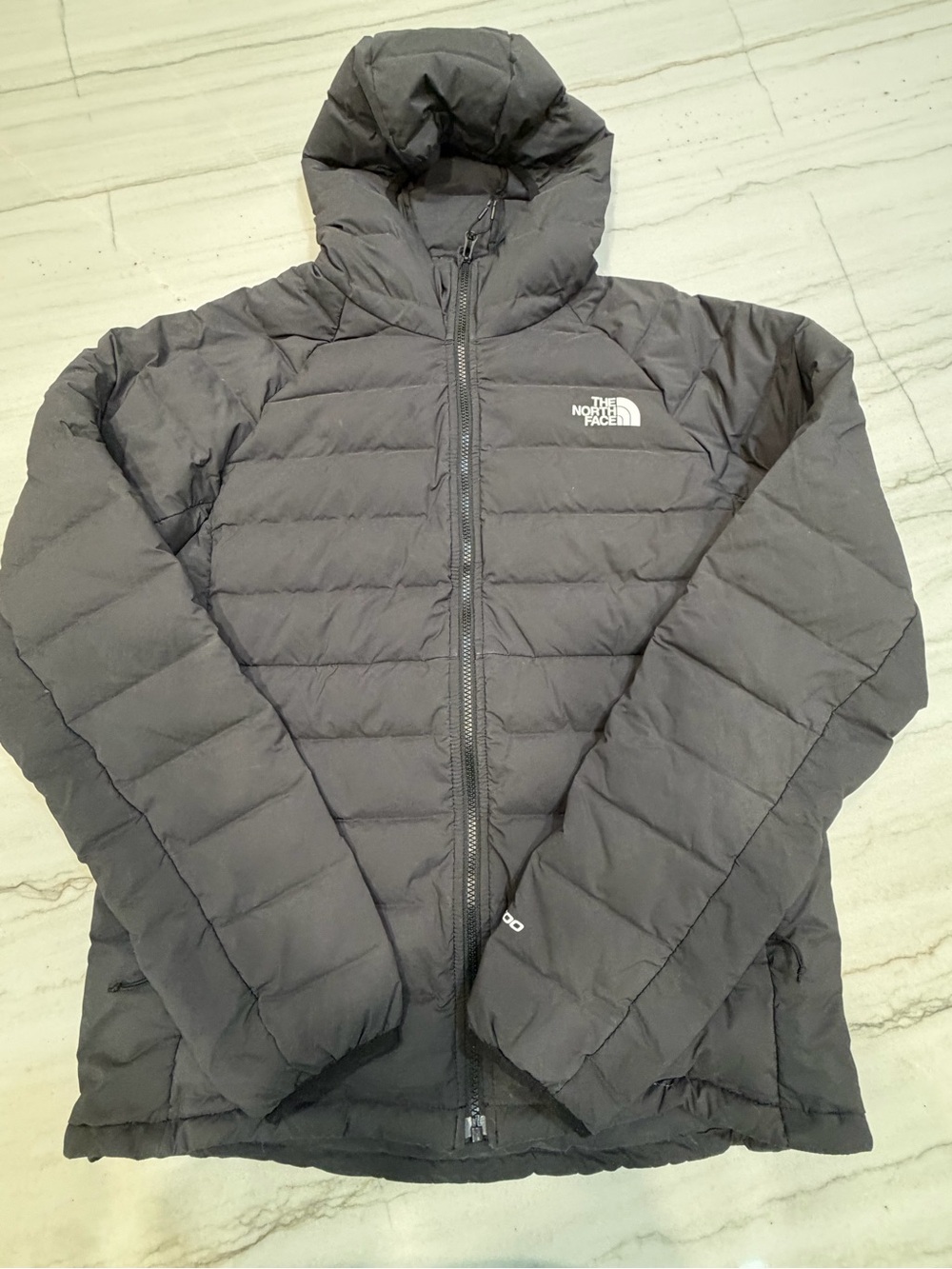 The North Face Men's Black Hooded Puffer Jacket